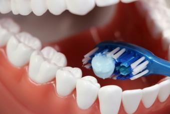 A toothbrush inside false teeth.