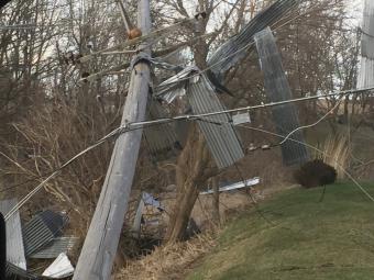 Down power line with metal debris in nearby trees.