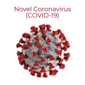 coronavirus image with sphere with red; 