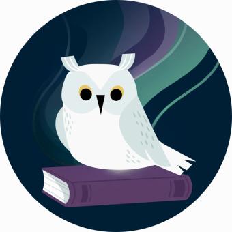 white owl on purple book with aurora lights in background