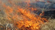 Burning grass